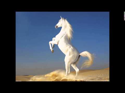 "Ride the White Pony" - Song I Wrote About Temptation - YouTube