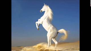 &quot;Ride the White Pony&quot; -  Song I Wrote About Temptation