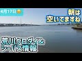 【現場より状況配信】今日の荒川クロダイ&シーバス情報 朝の現場は比較的すいてます。