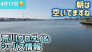 現場より状況配信今日の荒川クロダイ&シーバス情報 朝の現場は比較的すいてます