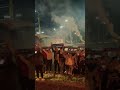 Армия Болельщиков отправляется в Москву на Локомотив. Факел Воронеж.