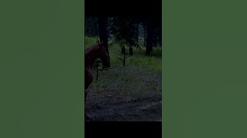 Red Dead Redemption 2 ride montage  #rdr2 #naturesounds