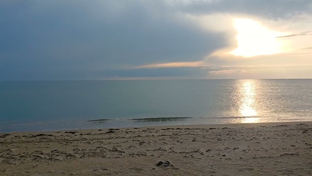 НовостиХреновости-Трам Разбушевался и прорвал канализацию.50 Вице жуликов.Регистр беременных.