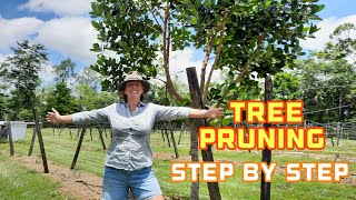 Jackfruit Tree Pruning - Step-by-Step Guide