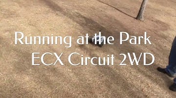 Running at the Park - ECX Circuit 2WD