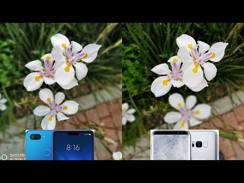 🔥Samsung Galaxy S8 vs Xiaomi MI 8 Lite CAMARA TEST Foto & Video ¿Cuál es mejor?