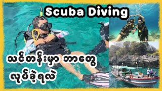 Scuba Diving သင်တန်းတက်ချင်တယ် ရေမကူးတတ်ဘူး ? ဆိုသူတွေအတွက်ထက်အိတက်ခဲ့တာလေးကို ပြောပြပါမယ် 💕