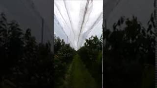 Voen - Zipper 2 Reißverschluss Cremallera