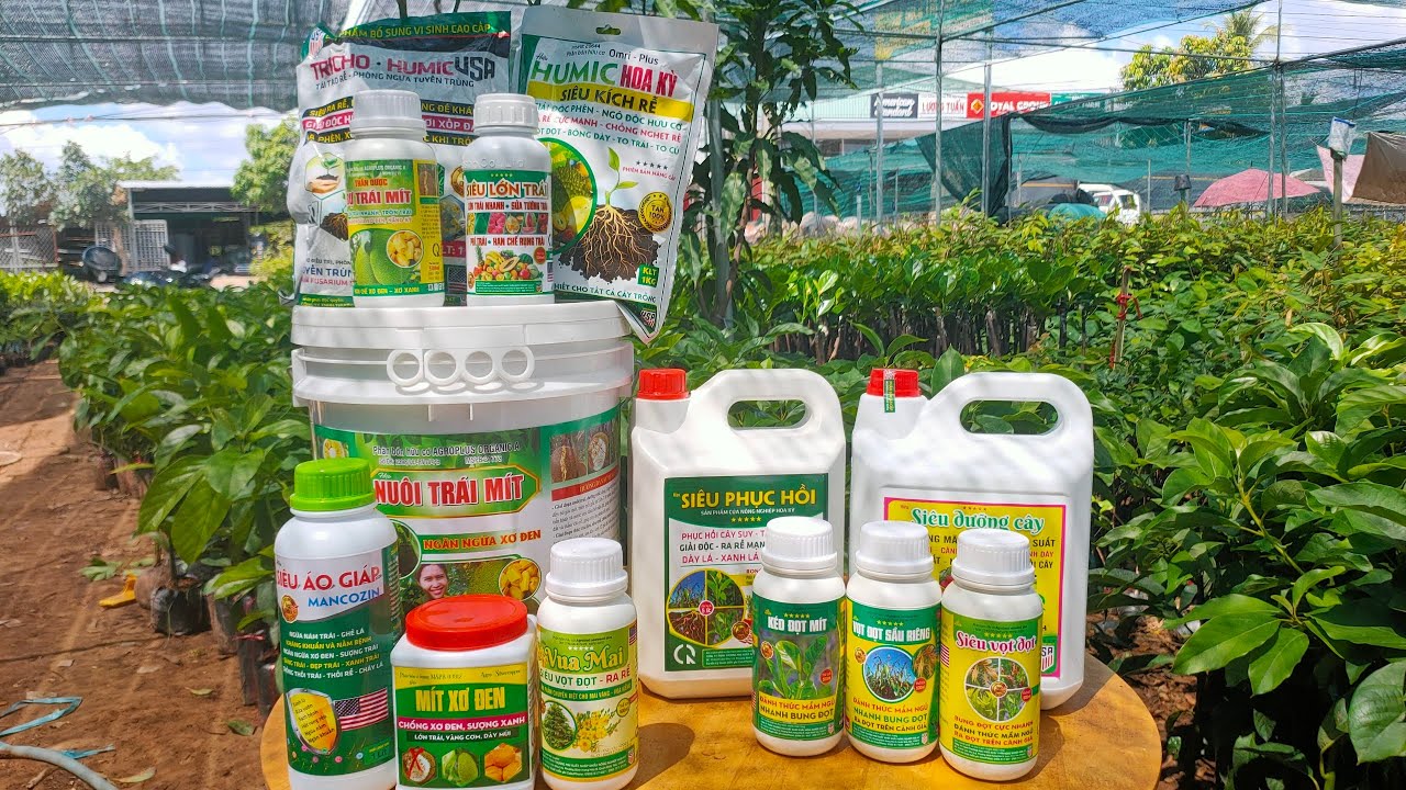 TOÀN BỘ PHÂN BÓN HỮU CƠ DÀNH CHO CÂY ĂN TRÁI - GIÚP CÂY PHÁT TRIỂN MẠNH VÀ SUNG SỨC