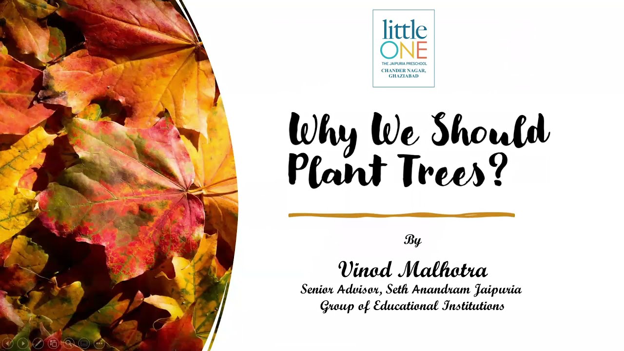 Jaipuria Group Launches Tree Plantation Drive