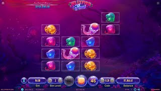 Playing Jellyfish Flow on Hollywoodbets Spina Zonke