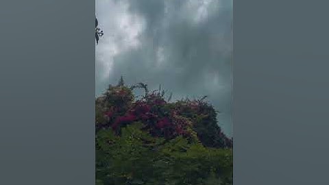 القران الكريم سورة الفرقان بصوت القارئ نامق مصطفى