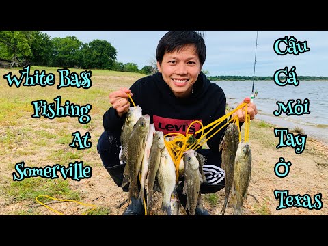 Video: Hồ câu cá Bass tốt nhất ở Texas