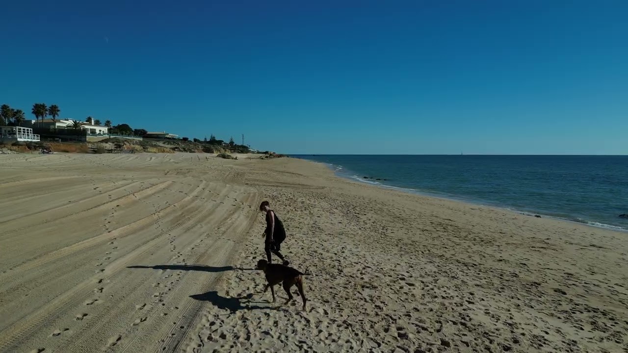 Gale mit den Hunden IV