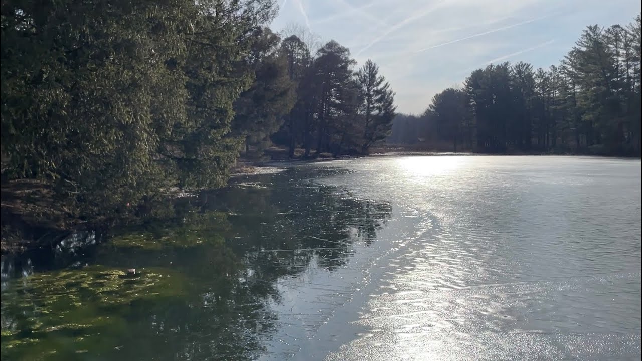 Claridon Woodlands Park