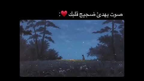 قرآن كريم بصوت سلمان العتيبي ارح سمعك حالات واتس.mp4