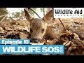 Wildlife SOS Online - Episode 10