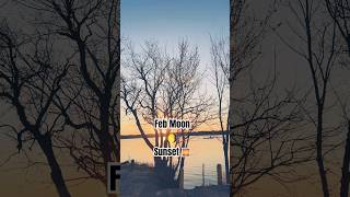 🌌🔭 Feb 2026 Winter Moon #moon #sunset #birdwatching