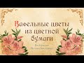 Вафельные Цветы из цветной вафельной бумаги. Декор для Торта