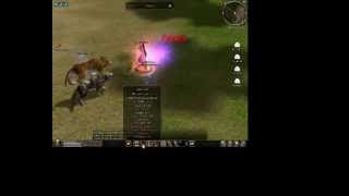 DDmt2 PvP Movie by: Baby98