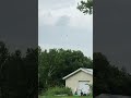 Pileated Woodpecker