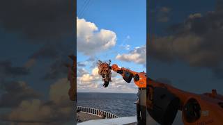 I'm not sure the Robotron was a good idea #mscseascape #robotron #cruiseship