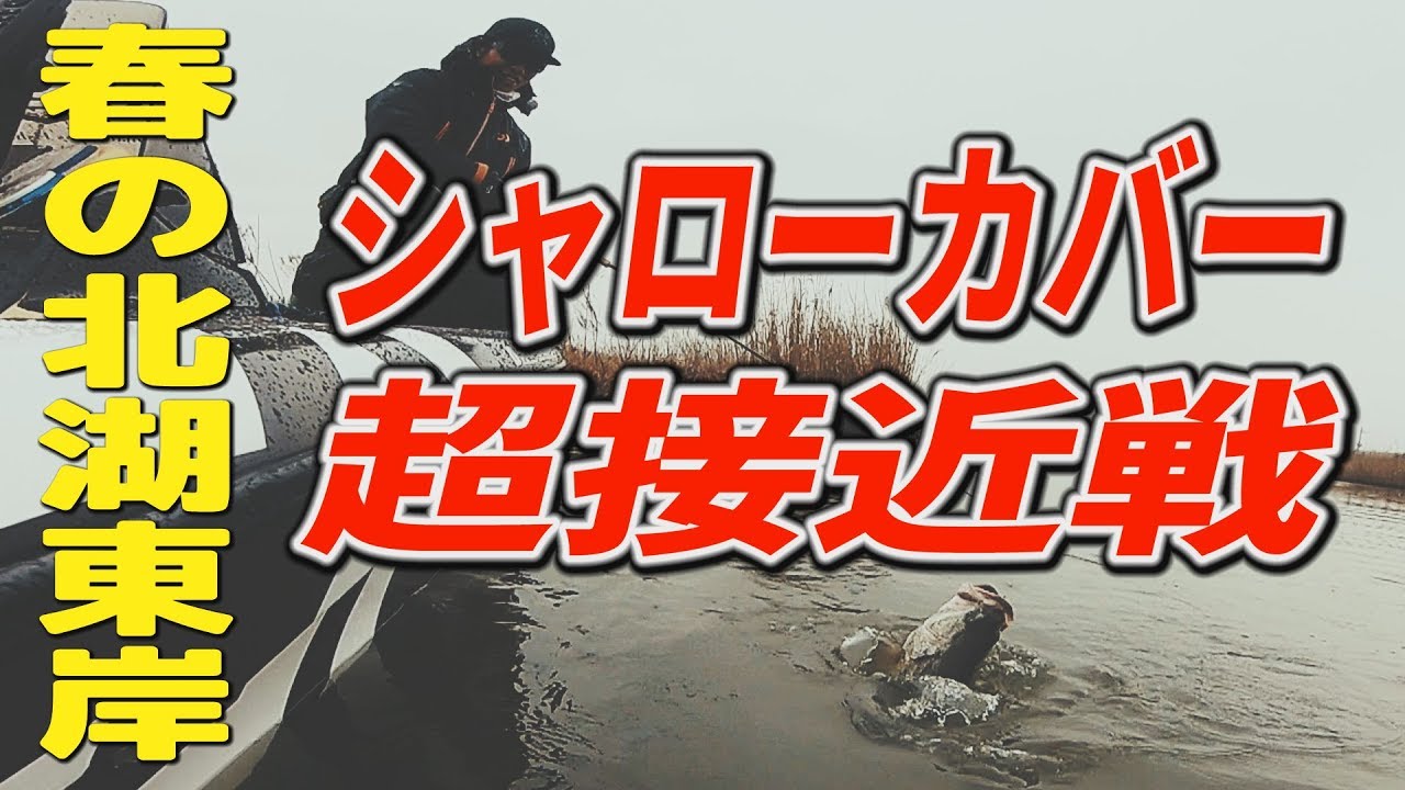 釣ってないはずが YouTube