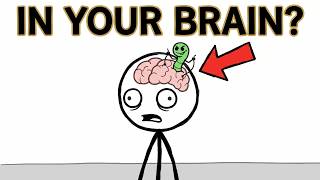 The Parasite That Might Be Controlling Your Brain Right Now