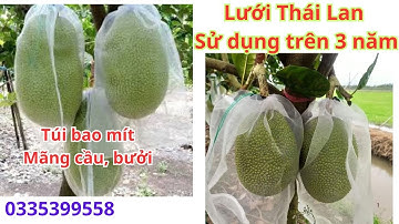Túi bao trái mít, mãng cầu, bưởi, Lưới Thái Lan sử dụng trên 3 năm. o335,,399,,558