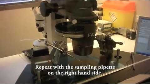 Micromanipulator set-up