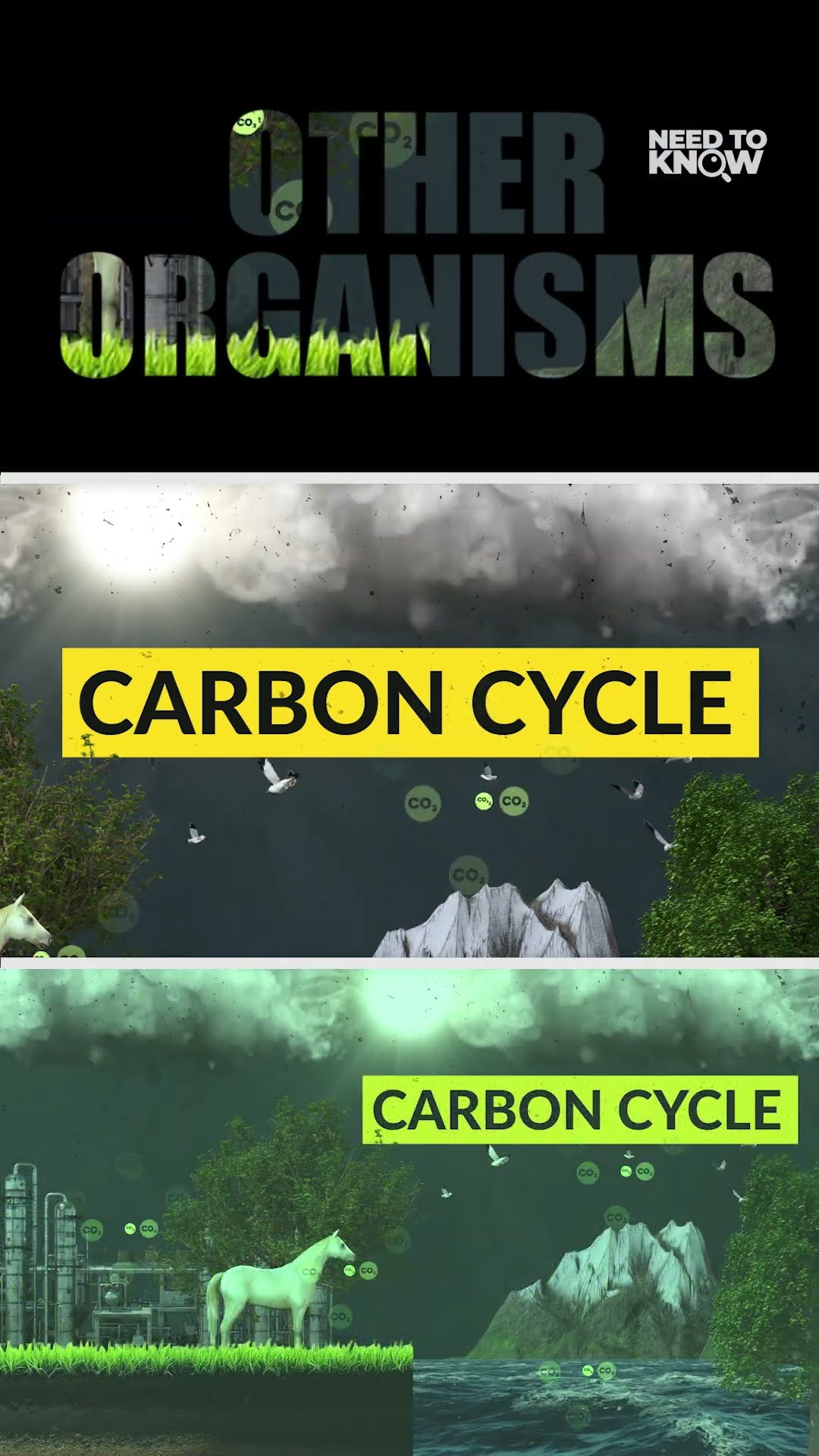 Paano napapalala ng carbon emissions ang climate change? | Need to Know