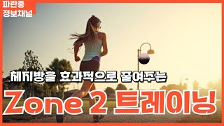 체지방을 없애주는 Zone 2 트레이닝