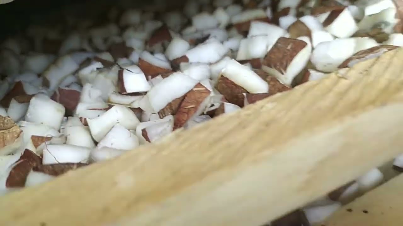 (BONUS): Comment deshydrater les noix de coco avec du charbon ?