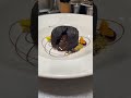 Chocolate fondant ♥️
