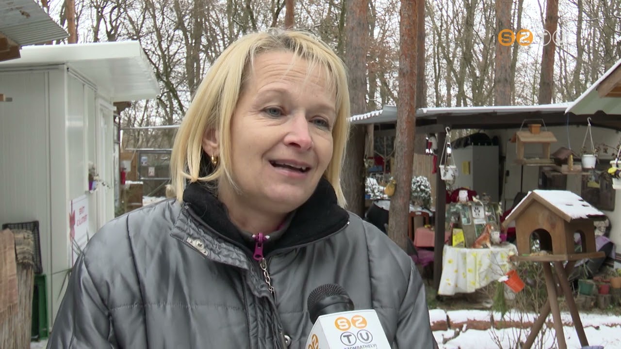 A téli, tartós hideg időjárás állatainkat is próbára teszi