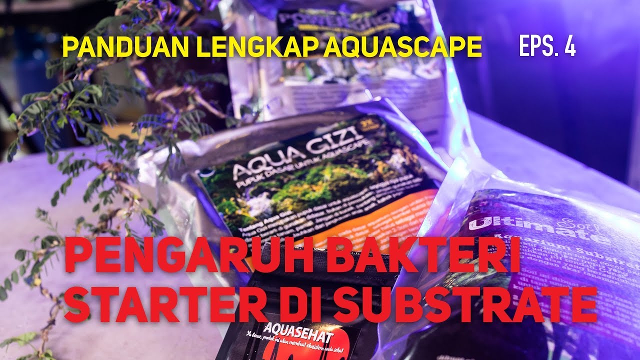 Substrate Aquascape - Episode 4