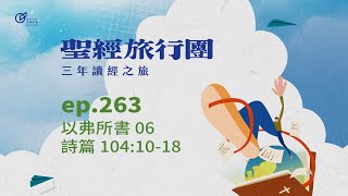ep.263 以弗所書06 詩篇104:10-18｜20250920