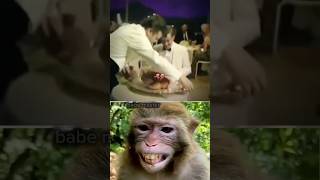 # babe master #sigma funny video