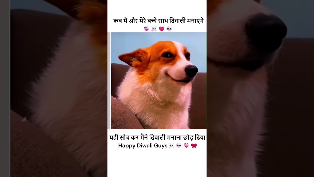 Dogesh Bhai on Diwali ☠️💀 
