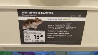 PoV- PetSmart Hamster and Supplies screenshot 4