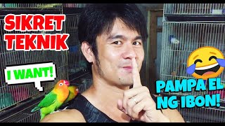 PAMPABILIS DUMAMI NG IBON! screenshot 4