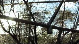 The Border Official Trailer.mov