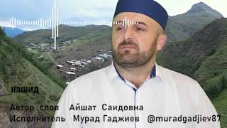 Аварский НАШИД.Мурад Гаджиев-Назидание.