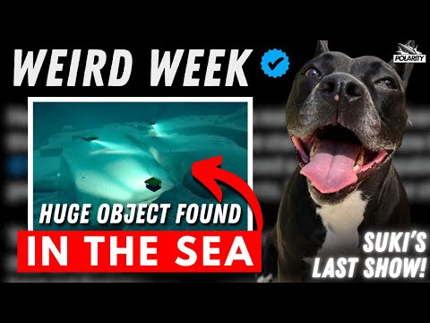 Non Human Technology In The Baltic Sea 3I ATLAS Suki S Last Show For Now WEIRD WEEK