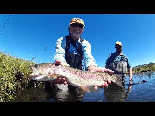 Patagonia Trout 2019 // Day 6 - Spring Creek in Argentina and