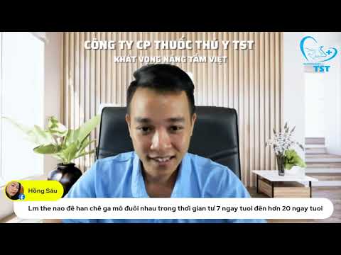 Video Cách xử lý gà bị mổ lông cắn đuôi nhau cùng bác sĩ thú... - youtube