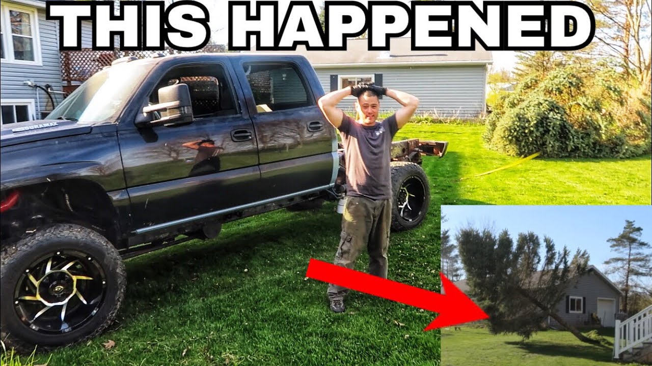 My Duramax pulled a tree down