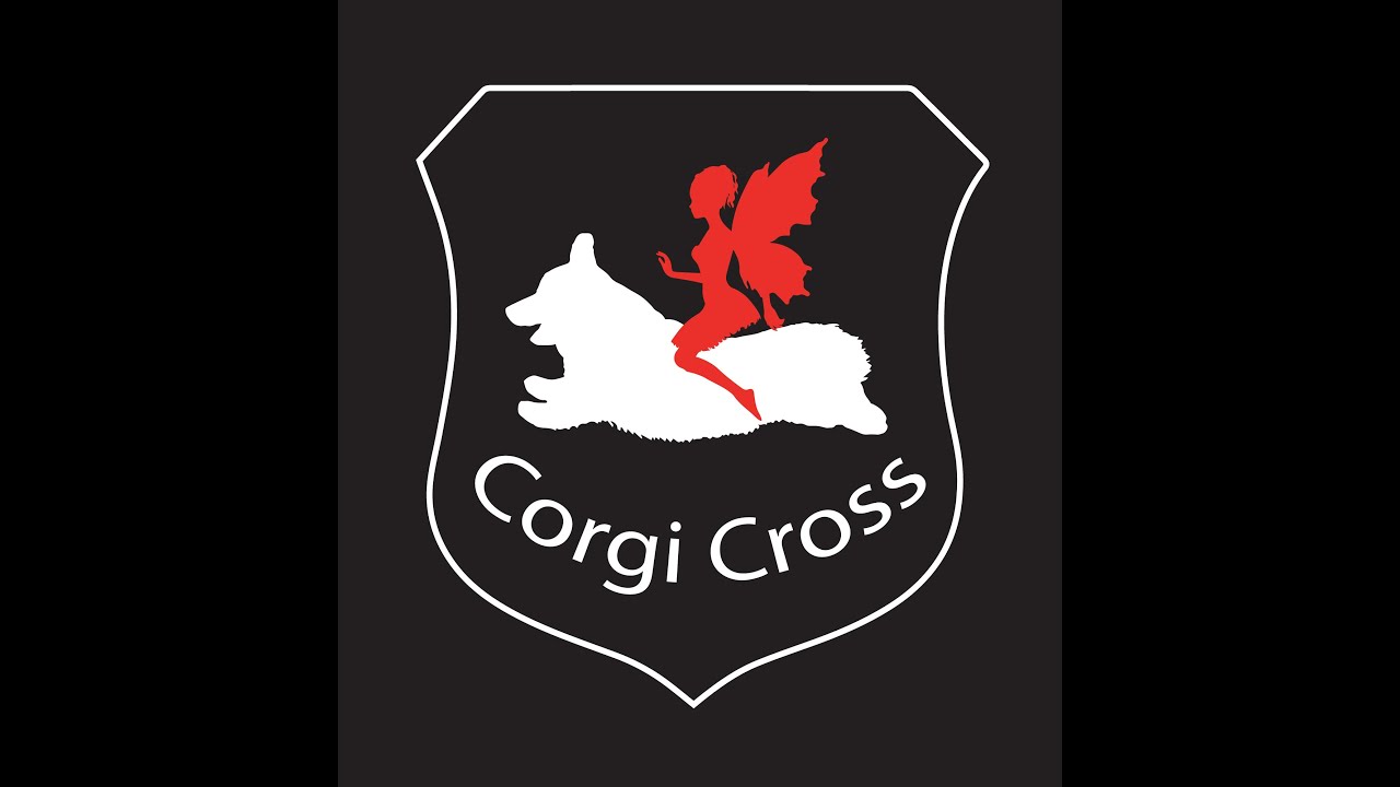 Corgi Cross - YouTube