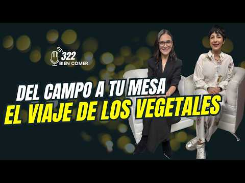 From the field to your table: the journey of your vegetables