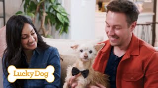 Senior Pup Gets a Second Chance Benji Part 2 | Lucky Dog